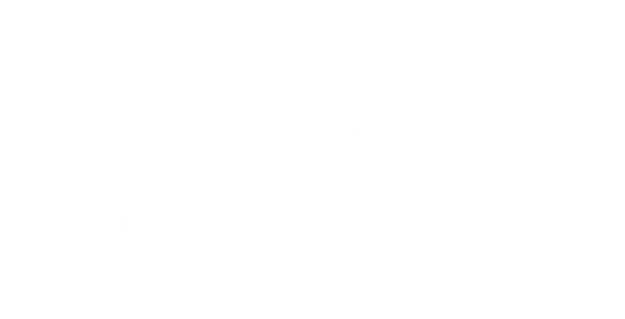 Friboi
